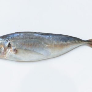 Poisson chinchard 5kg