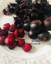 fruit sauvage du congo 50g
