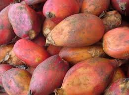 fruit sauvage du congo 50G