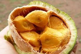 fruit sauvage  du congo malombo  50g
