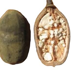 Fruit du baobab  50G