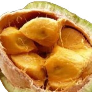 fruit sauvage  du congo malombo  50g