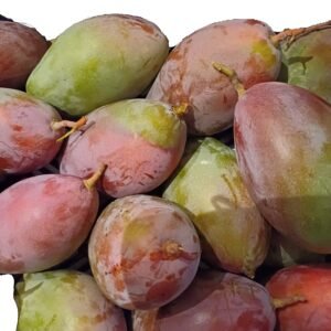 mangue de chez nous la pièce