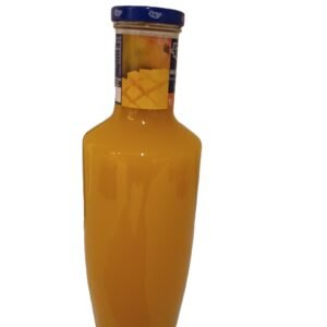 JUS DE MANGUE 1L